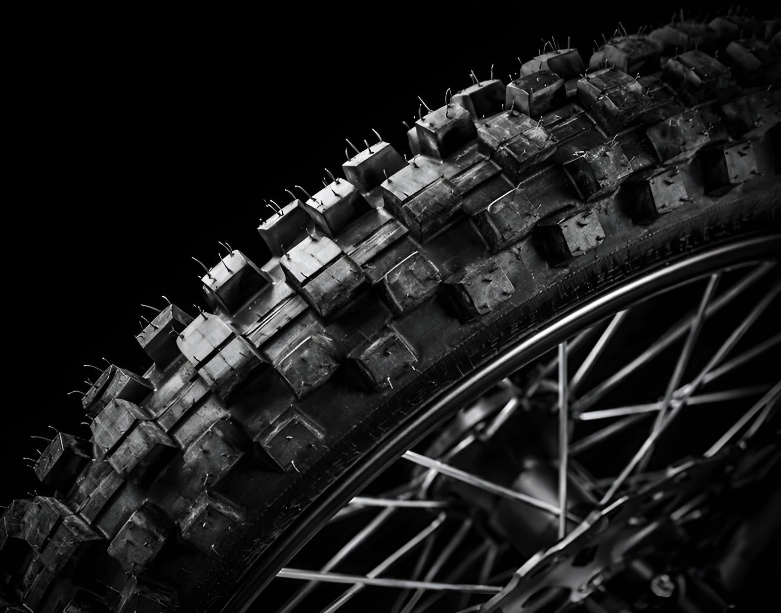 OTARO Wildcat S