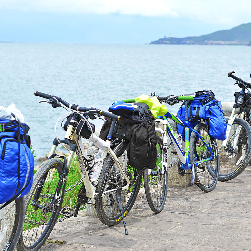 ROCKBROS 35L Multifunctional Rack Bag